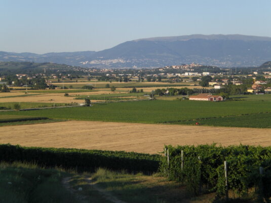 Agricola Carnoni - Seminativi Agricola Carnoni - Seminativi